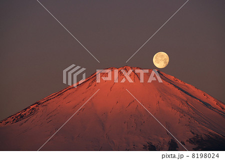 紅富士と月 8198024