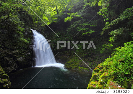 赤目四十八滝　不動滝 8198029