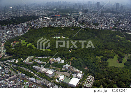 明治神宮　明治神宫 8198244