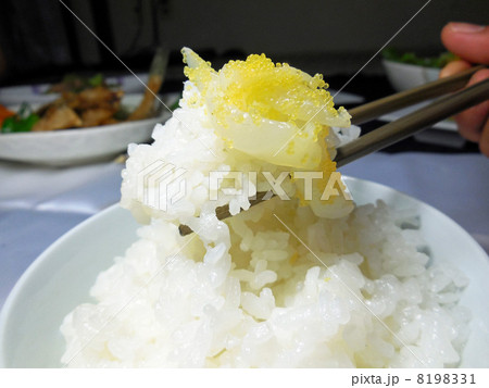 温かごはんに乗せるだけ 8198331