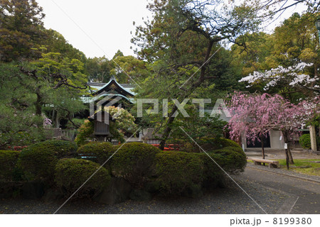 東天王　岡崎神社 8199380