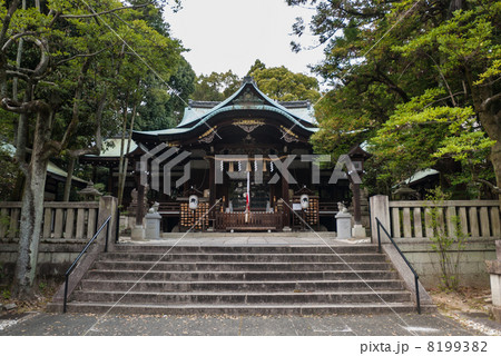 岡崎神社 本殿 岡崎神社 本殿 8199382