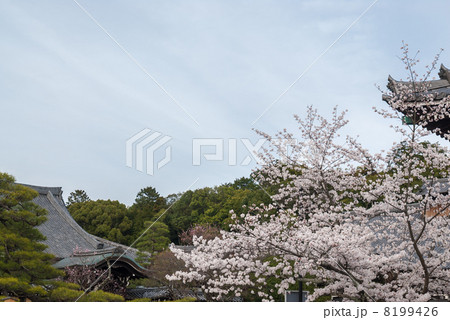 くろ谷　金戒光明寺 8199426