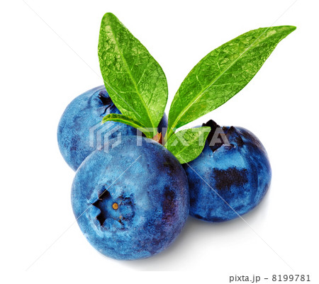Three fresh blueberry isolated on white background 8199781
