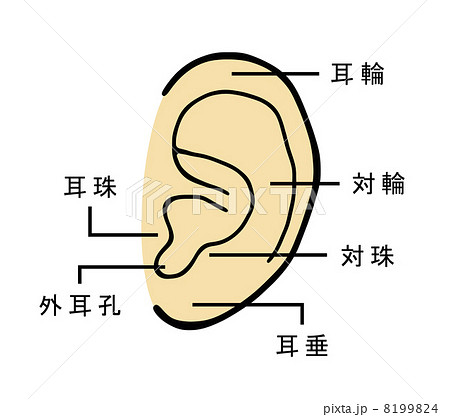 知覚的 小人 回る 耳 名称 図 準備する 保持する ちらつき