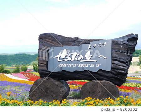 ぜるぶの丘夏 8200302