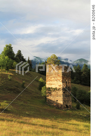 Old tower 8200646