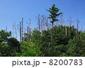 遙照山 8200783