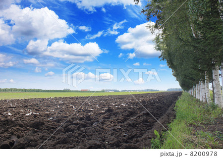 十勝平野 8200978