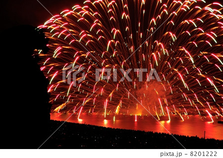 獅子岩と花火 8201222