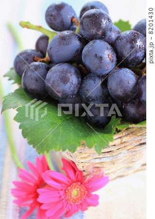 葡萄のアレンジ 8201430