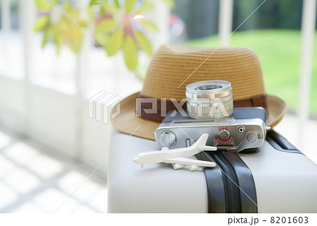 飛行機とカメラと帽子 8201603