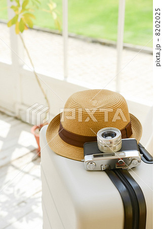 スーツケース カメラ 帽子 スーツケース カメラ 帽子 8202025