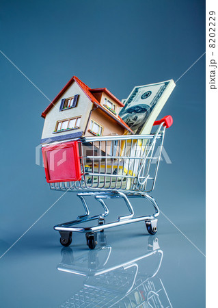 shopping cart and house 8202229