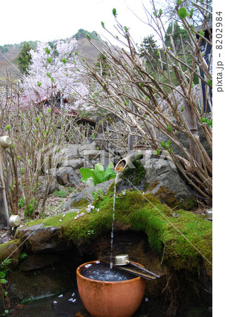 浄光寺の湧水 浄光寺の湧水 8202984