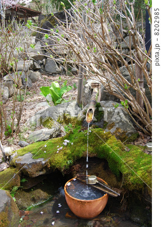 浄光寺の湧水 8202985