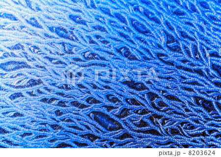 pattern on the window pattern on the window 8203624