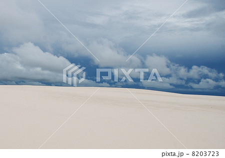 レンソイス・マラニャンセス国立公園 8203723