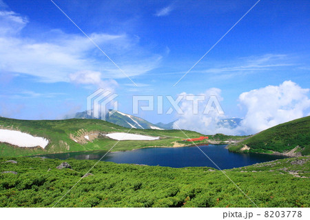 盛夏の白馬大池 8203778