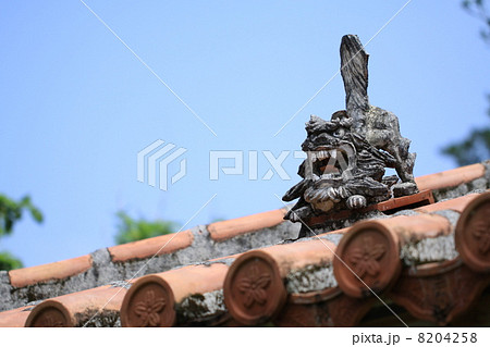 赤瓦とシーサー 8204258