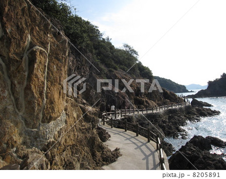 仙酔島の五色岩 8205891