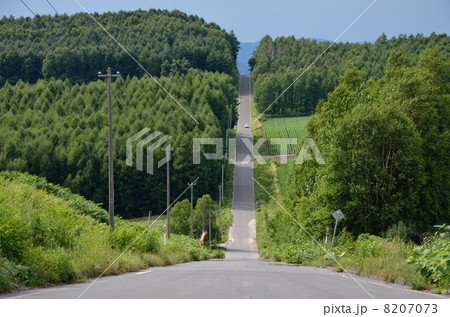 就実の丘、新ジェットコースターの路 8207073