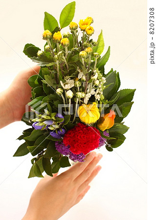 供花　供花会　弔花　お供え 8207308
