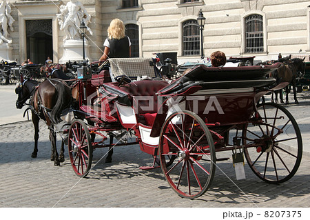 王宮前の観光馬車 (フィアカー) 8207375