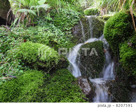 冷湖(ひゃっこ)の霊泉・イメージ(7) 冷湖(ひゃっこ)の霊泉・イメージ(7) 8207591