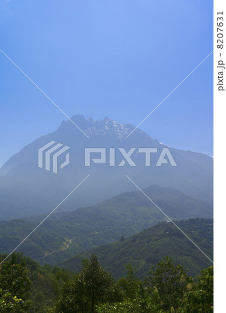 キナバル山　ボルネオ島 8207631