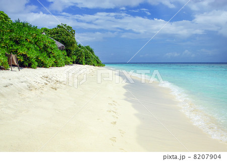 Tropical Maldivian island in Indian ocean 8207904