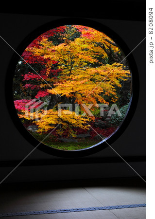 源光庵 悟りの窓からの紅葉 源光庵 悟りの窓からの紅葉 8208094