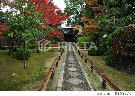 京都 松花堂庭園の秋 京都 松花堂庭園の秋 8208570