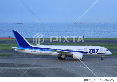 ドリームライナー 8208725