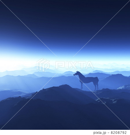 馬 馬 8208792