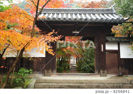 京都　善法律寺の秋 8208841