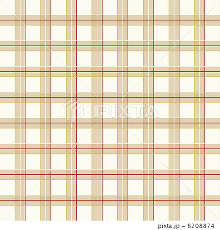 チェックのパターン 8208874