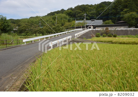 絹の道の秋　八王子市 8209032