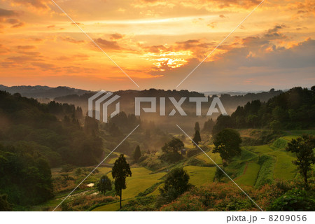 朝焼けの棚田 8209056