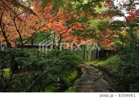 京都 松花堂庭園の紅葉 京都 松花堂庭園の紅葉 8209061