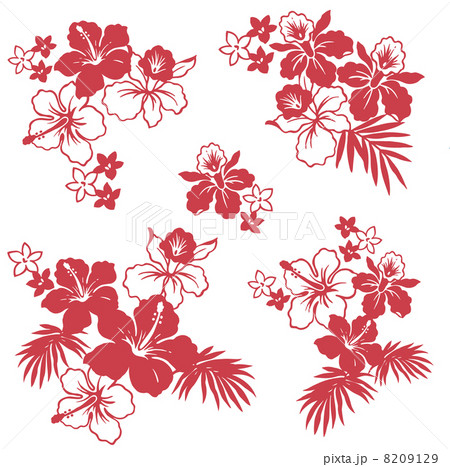 ハイビスカス 8209129