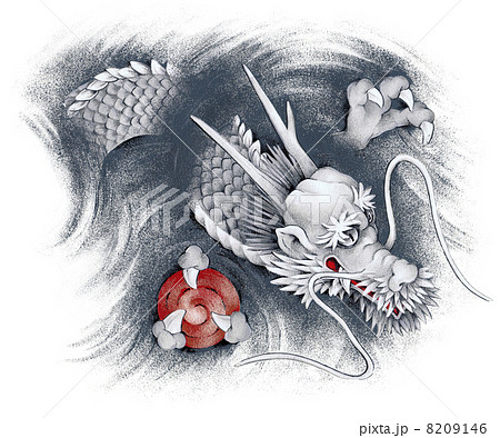 龍 龍 8209146