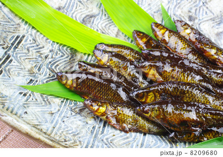 ワカサギの甘露煮 ワカサギの甘露煮 8209680