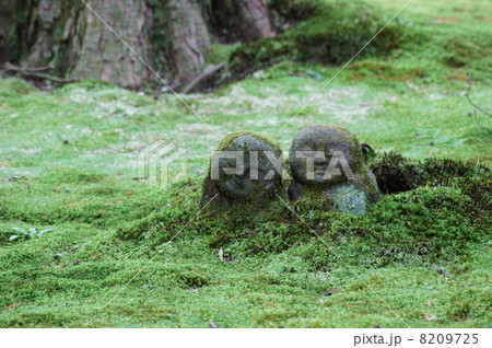晩夏の三千院 わらべ地蔵 晩夏の三千院 わらべ地蔵 8209725