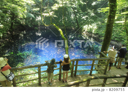 白神山地の青池 8209755