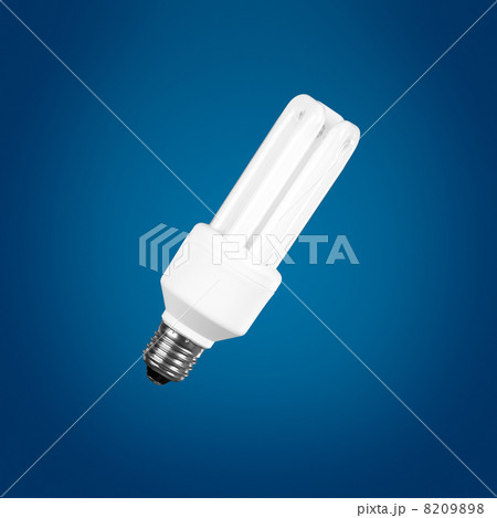 Fluorescent Light Bulb Fluorescent Light Bulb 8209898