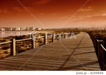 Orange beach Orange beach 8209899