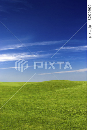 Green Meadow Green Meadow 8209900