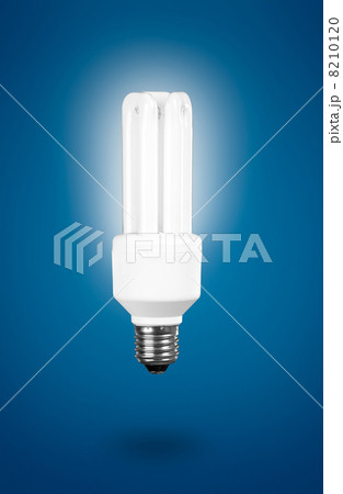 Fluorescent Light Bulb 8210120