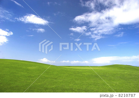 Green field 8210787